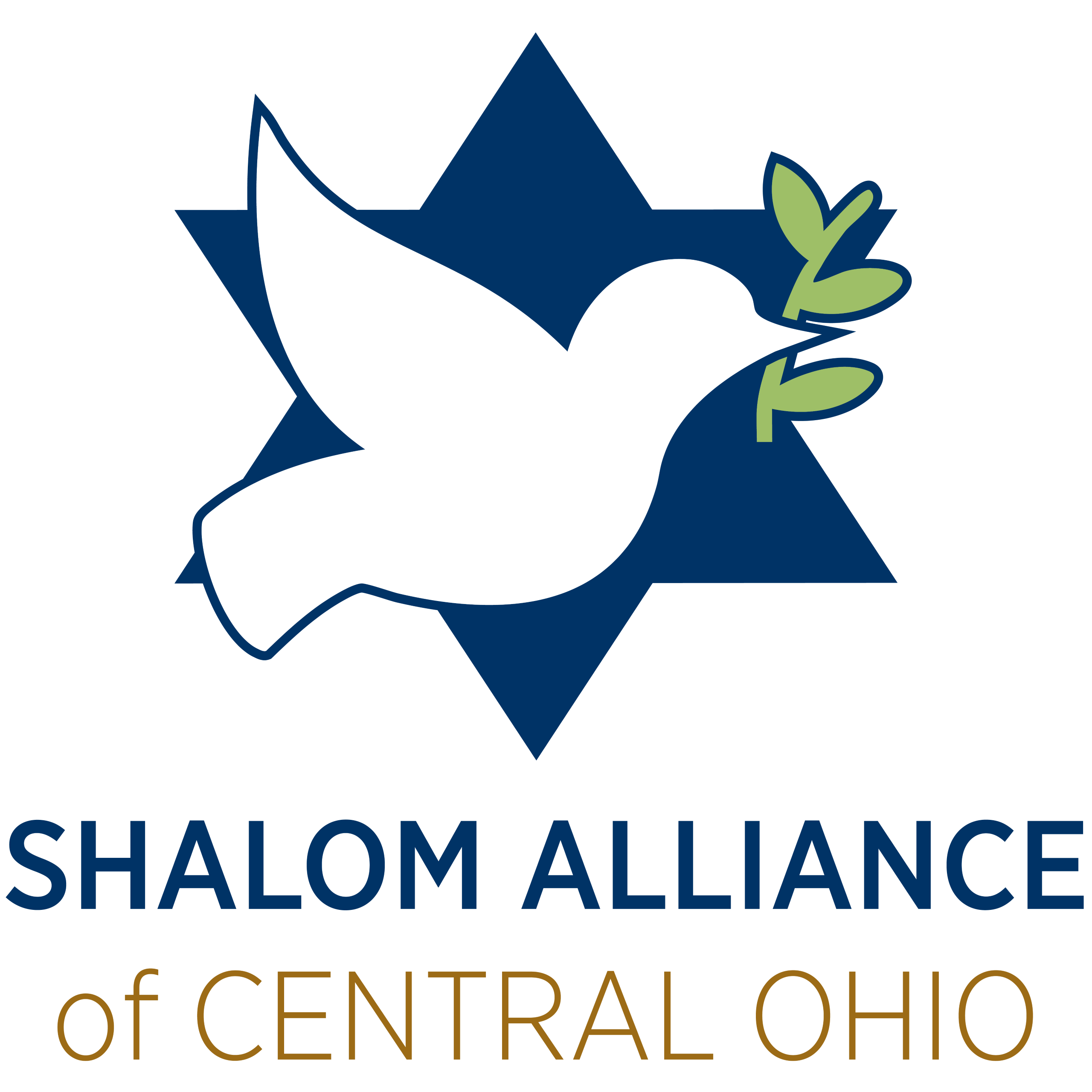 Shalom Alliance_Square Multi Color